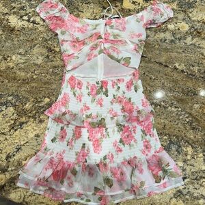 Isabelles cabinet dress